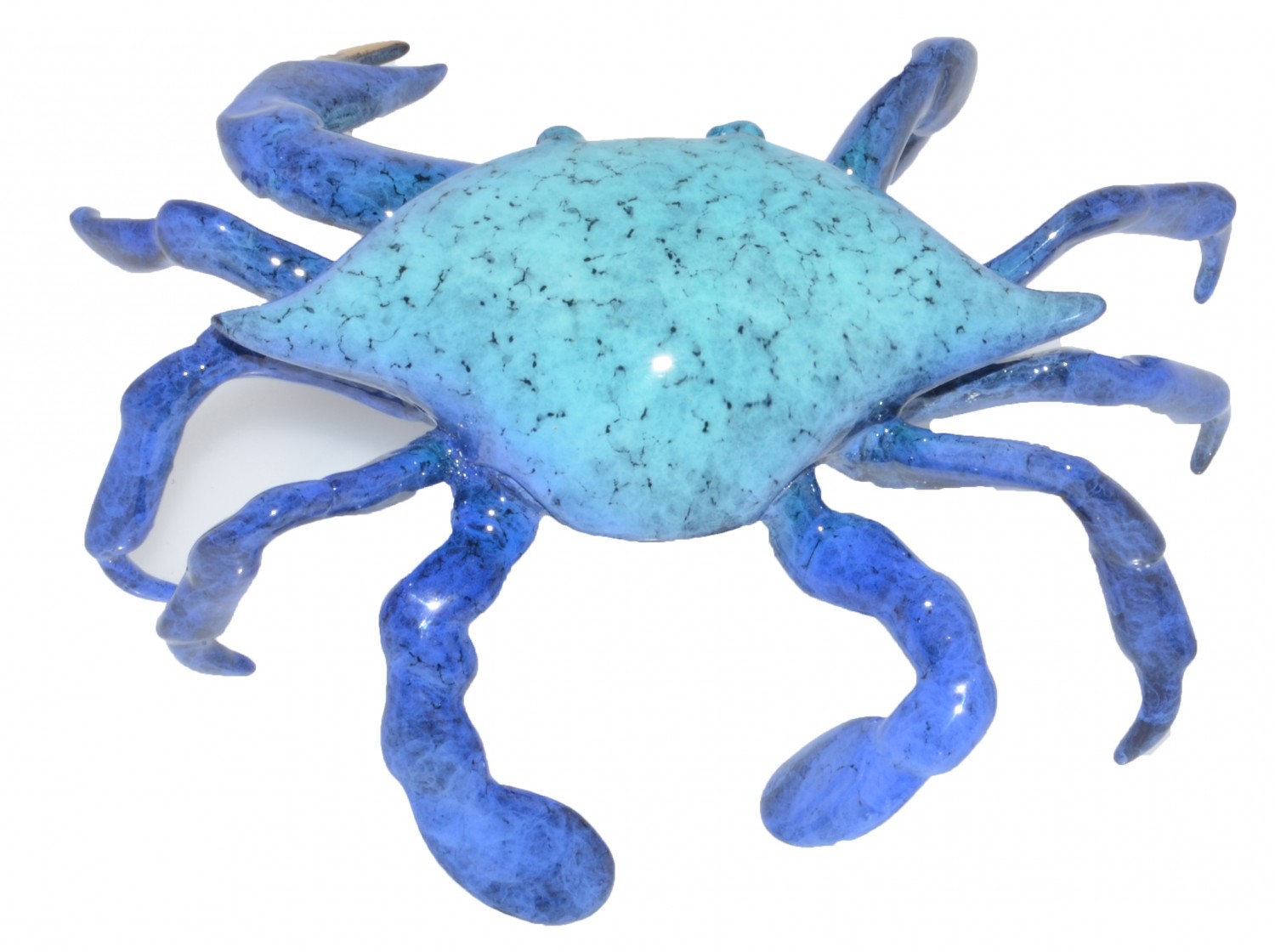 maryland blue crab