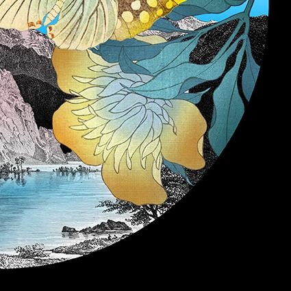 Image 2 of 