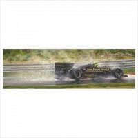 Senna image