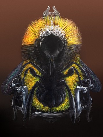 Queen Bee | Angus Gardner  image