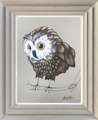 Olly Owl image