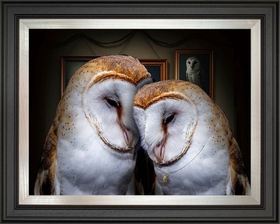 You and Me, Always and Forever | Angus Gardner image
