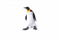 Emperor Penguin #2 image