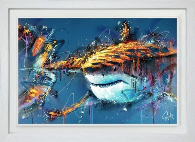 Barry | Shark | Joe Galindo  image
