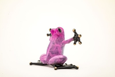 Bon Bon | Advance Release Show Frog | Tim Cotterill image