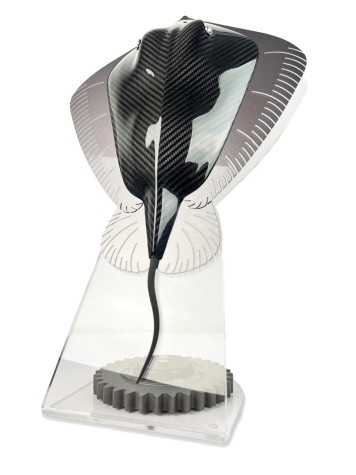 Carbon Stingray | Carbon Art image