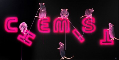 Rats Fixing The Chemist | Dean Martin image