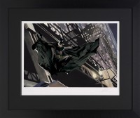 Descent On Gotham – Paper Framed image