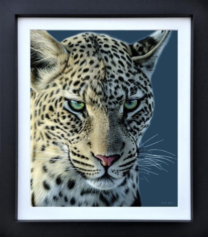 Emerald Gaze | Martin Robson image