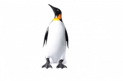 Emperor Penguin #1 16" | Brian Arthur image
