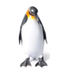 Emperor Penguin #1 image