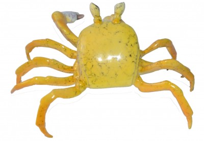 Ghost Crab, Yellow | Brian Arthur - Available image