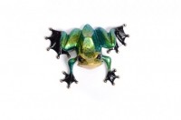 Hydra | Galaxy Series | Tim Cotterill | Wall Hanging Frogman image