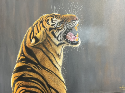 Tigress | Jonathan Truss  image