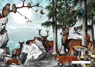 The Black Forest - Deer at Dusk | Kristjana S Williams image