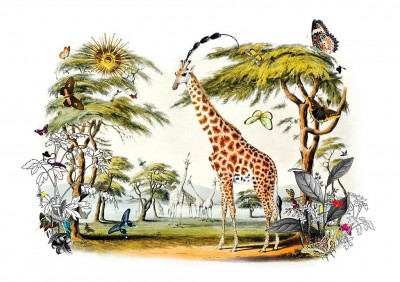 Giraffe Gardur | Kristjana S Williams image