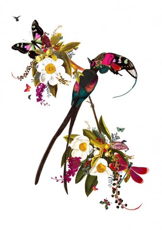 Langi Tagl Audubon | Kristjana S Williams image