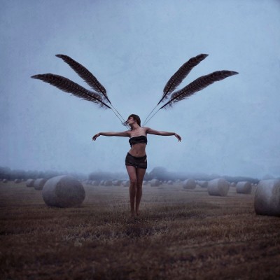 With Brave Wings She Flies | Michelle Mackie image