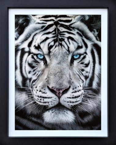 The Silent Warrior | Martin Robson image