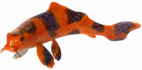 Medium Koi Fish - Available image