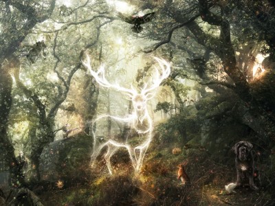 Expecto Patronum | Harry Potter | Mark Davies image