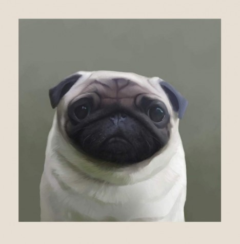 Pugly | Stephen Hanson image