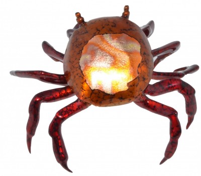 Sally Lightfoot Crab | Brian Arthur - Available image