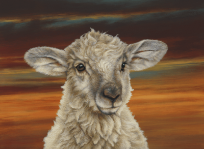 Shepherd's Delight | Paul James image