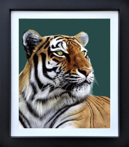 Silent Hunter | Tiger Portrait | Martin Robson image