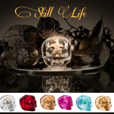 Still Life Skull | Ludvig Lovgren image