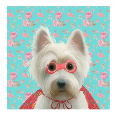 Super Westie | Stephen Hanson image