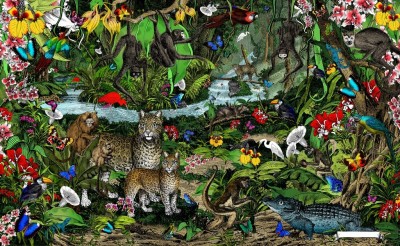 The Amazon Rain Forest - World’s Zoological jewel image