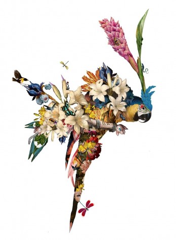 The Flower House Lear 01 | Kristjana S Williams image