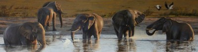 A Drink with the Boys | Jonathan Truss image