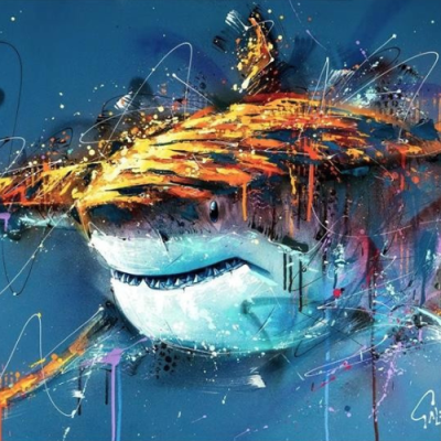 Barry | Shark | Joe Galindo  image