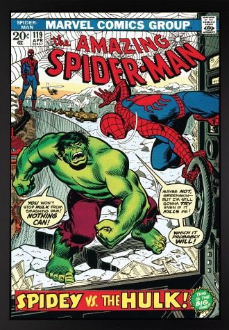 The Amazing Spider-Man #119 - Spidy vs The Hulk! (Deluxe) image