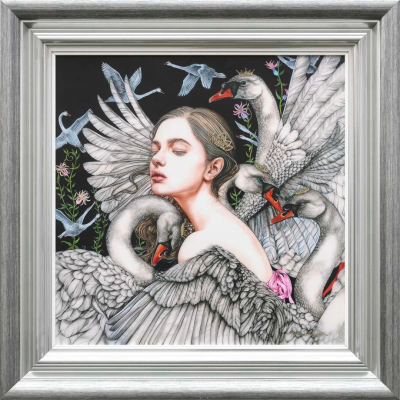 The Wild Swans | Kerry Darlington image