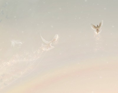 Image 4 of 