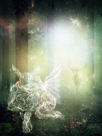 Image 0 of 