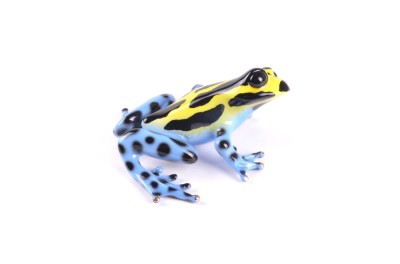 Image 3 of 