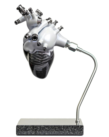 Image 3 of 