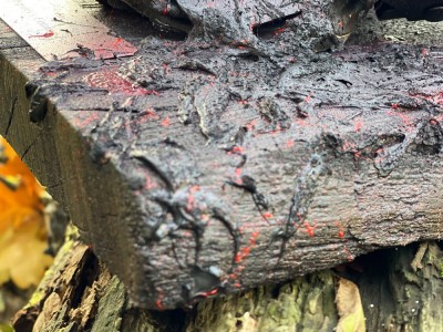 Image 3 of 