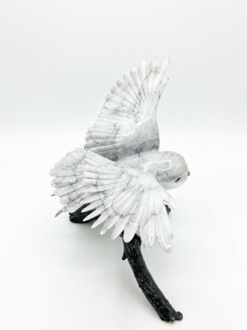 Image 1 of 
