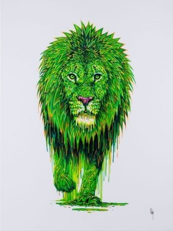 Image 0 of 
