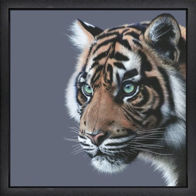 Image 0 of 