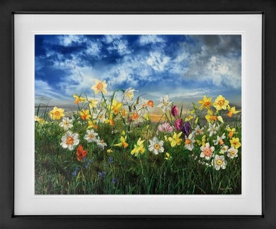 Image 1 of 