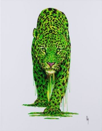 Image 0 of 
