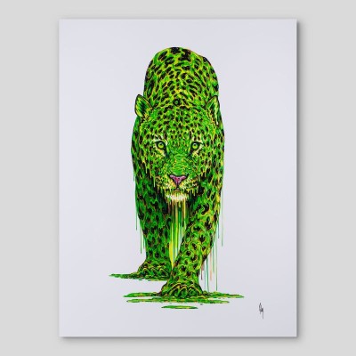 Image 1 of 