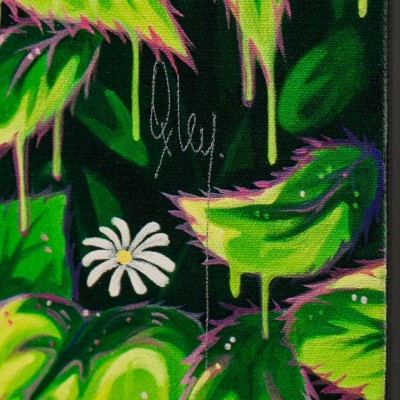 Image 2 of 