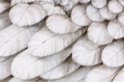 Image 6 of 